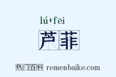 芦菲是什么意思的图片